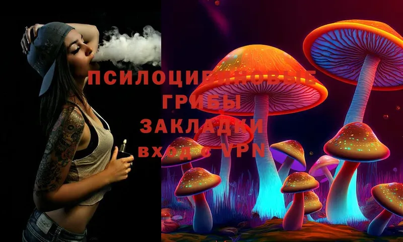 Галлюциногенные грибы Magic Shrooms  Белая Холуница 